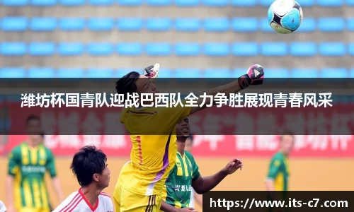 c7娱乐
