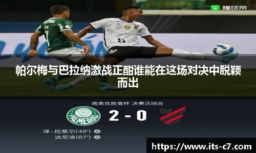 c7娱乐