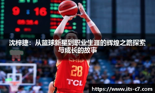 c7娱乐